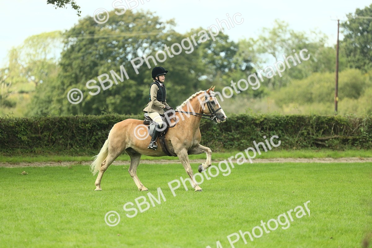 SBM_44711 - S31 - Working Hunter Pony