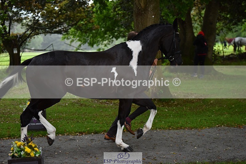 240522-151410-00193 - 377-HONEYBROOK_EXTRA_SPECIAL-Tom_Rowland