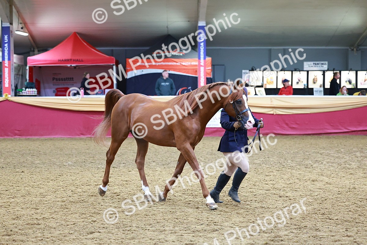 SBM_16202 - Class 901 - Sup Final - IH Diamond