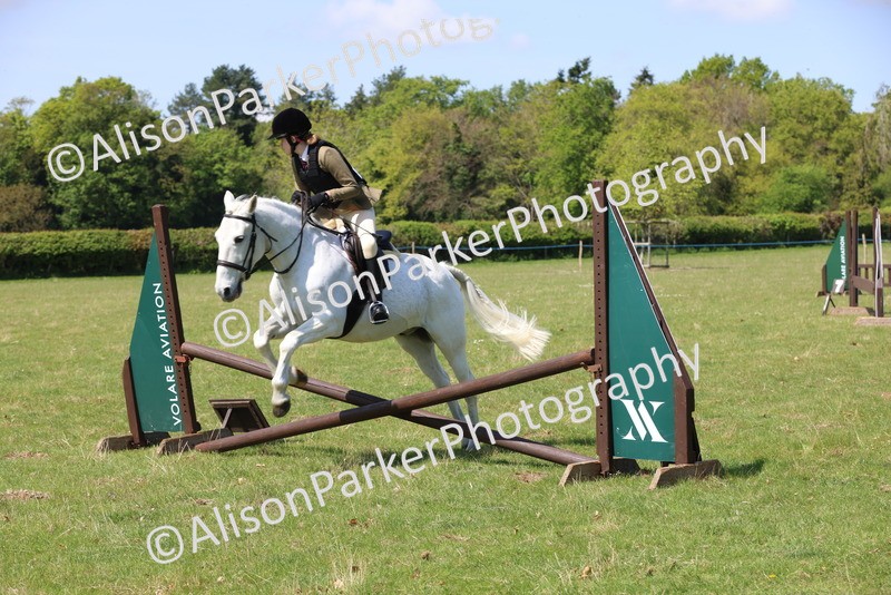 20250427-2603 - Class 20 - Working Hunter Ponies
