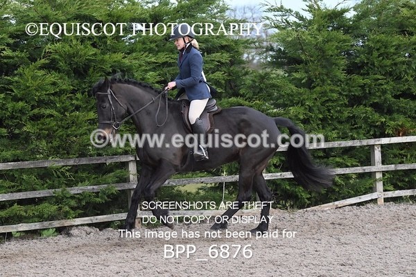 BPP_6876 - RING 1  (RIDDEN HORSES / IN HAND / VETERAN ETC)