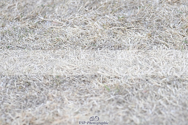 250823A-184028-34398 - All Sat Presentations