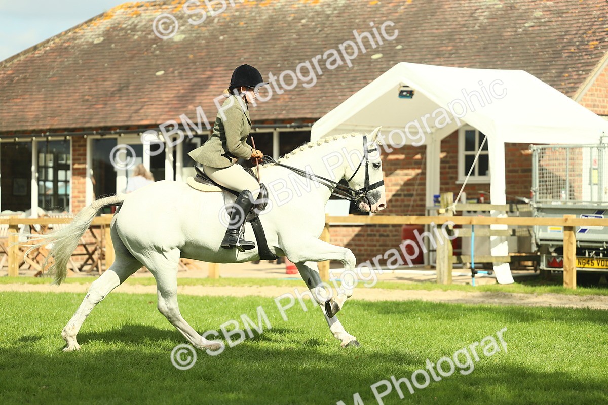 SBM_47932 - S32 - Novice & Newcomers Working Hunter