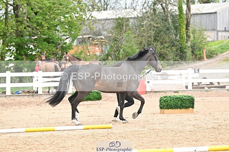 250423-160226-01906 - 4pm to 5pm