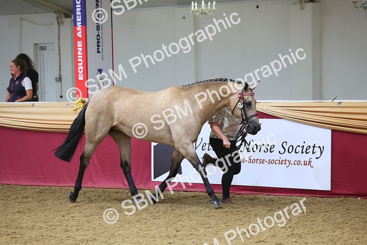 SBM_24981 - Grand Supreme Final Overall Champion