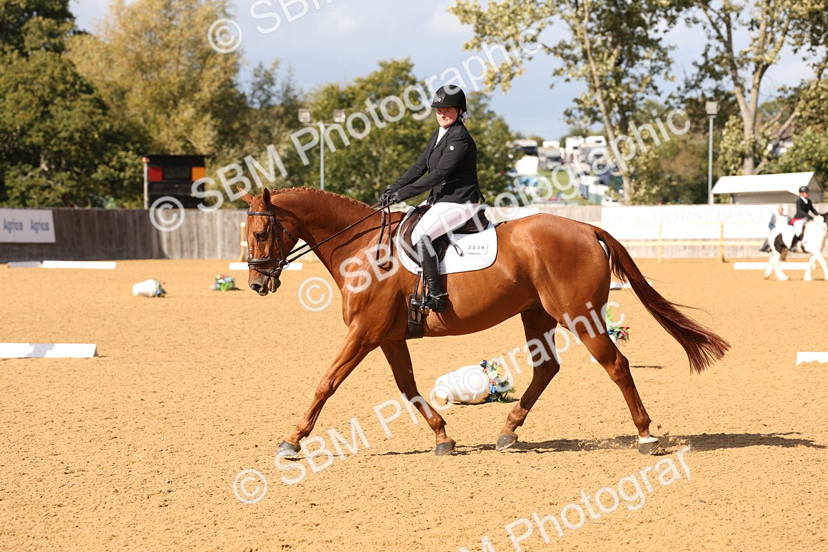 SBM_24581 - D17 - Grand Tour Championship Novice 3