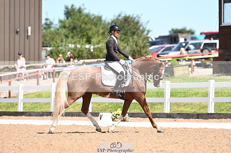 240816A-131629-05013 - 113-Ruby.Gumbley-Nova's.Golden.Dream