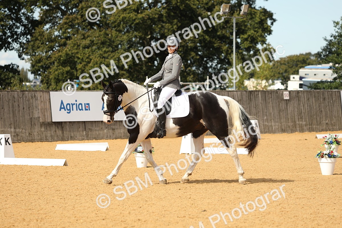 SBM_22231 - D17 - Grand Tour Championship - Novice 27