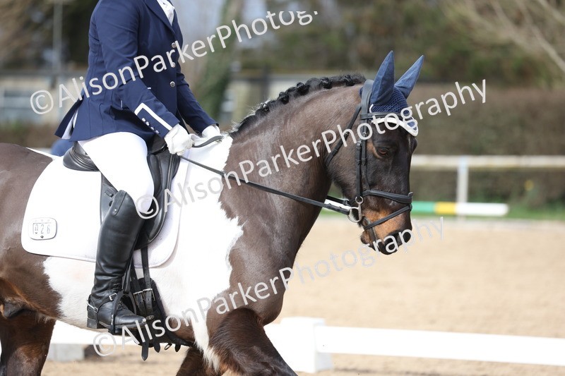 20260301-0488 - Class 3 - Novice 4