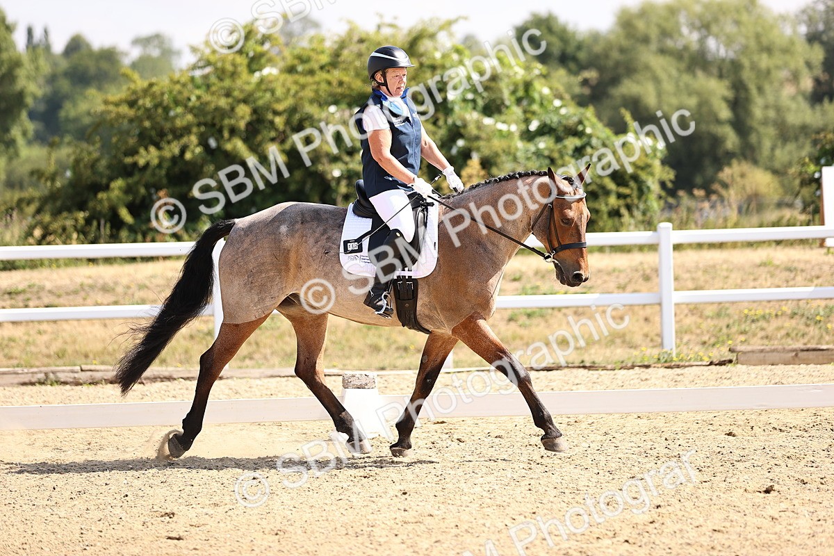 SBM_006516 - Intro 3 - 9.46-10.46