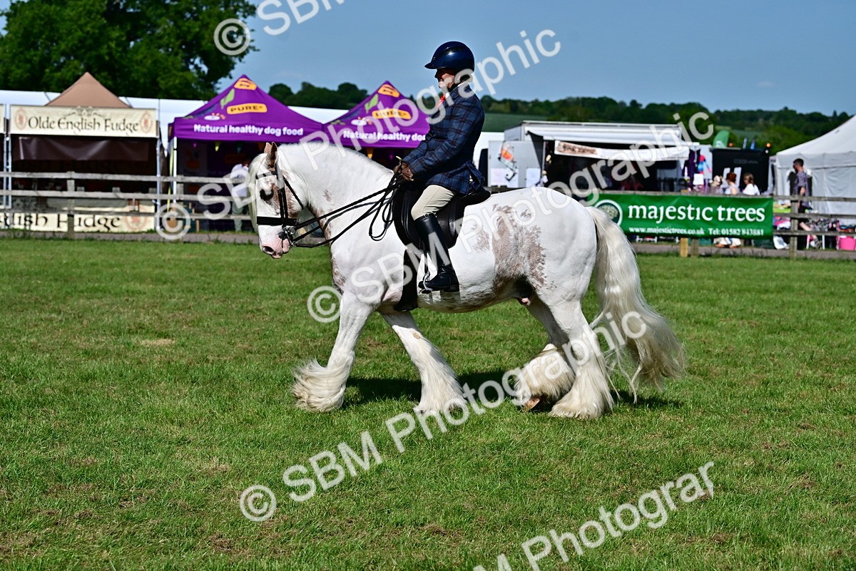 SBM_09377 - Class 63-65 - Traditional Gypsy Cobs In Hand & Ridden