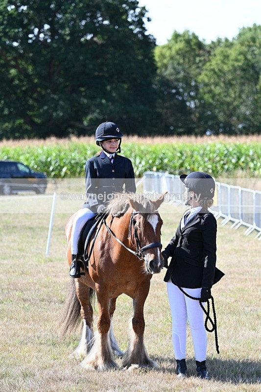 WJ7_3163 - Class 8 Ridden Tack & Turnout