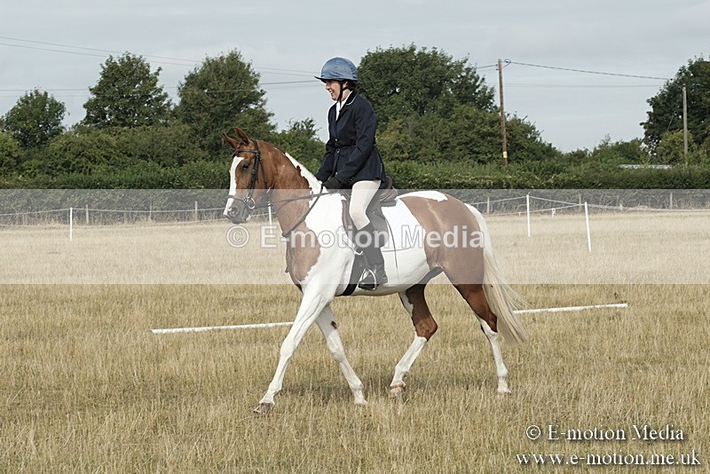 _PJP5581 - Dressage Classes BVRC Show 2018