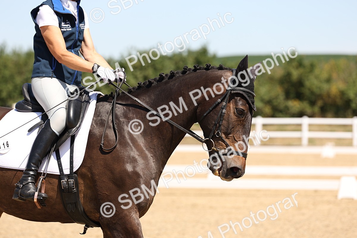 SBM_002066 - Elementary 4 Warm Up