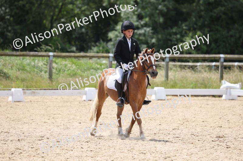 20250614-0600 - Class 5 - Novice 3