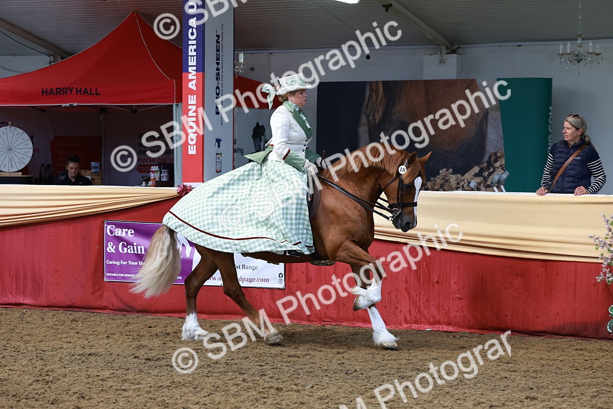 SBM_13839 - Class 106 - Ridden Costume -Astride Adult (15-19)