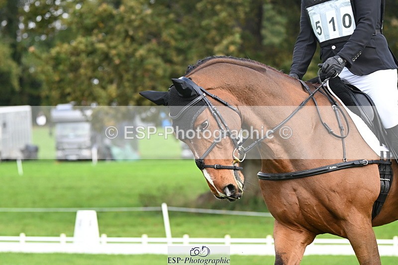 251023A-105237-02621 - G-510-Dan.Andrews