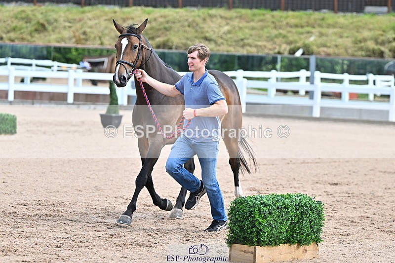 240718A-105246-01131 - Trot Up 12pm to 1pm