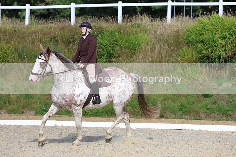 3E7A3309 - Class 2: Intro 1 2024 Section B