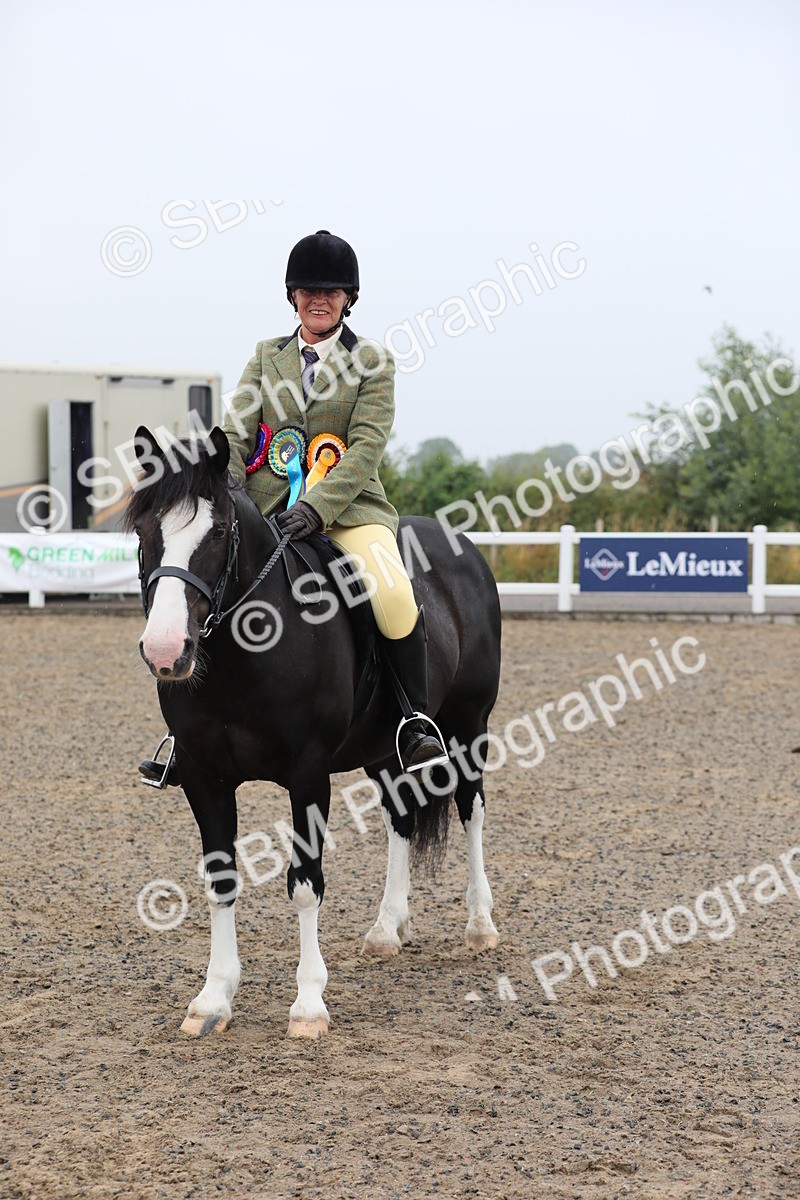 SBM_20095 - Class 802 - Ridden Groom - Helpers class