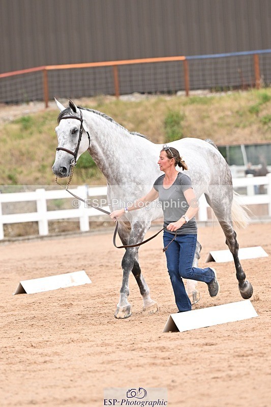 250716-152221-01882 - Trot Up 2.30 to 3.30