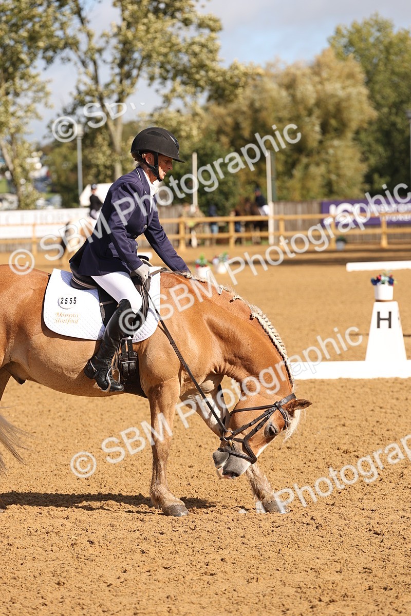 SBM_37694 - D18 - Grand Tour Championship Novice 2