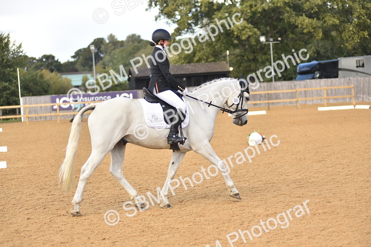 SBM_10192 - D15 - Small Tour Championship Novice 1