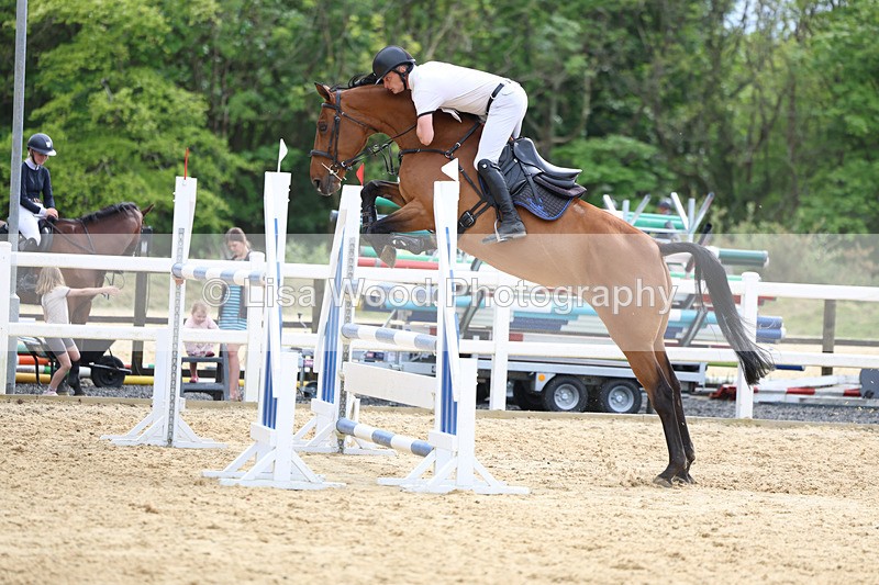3E7A7824 - Class 8: Senior Foxhunter/1.20 open