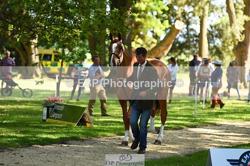 230524-154706-00494 - 370-DUKE_LEGACY-William_Fox-Pitt-WEDTrotUp+DR