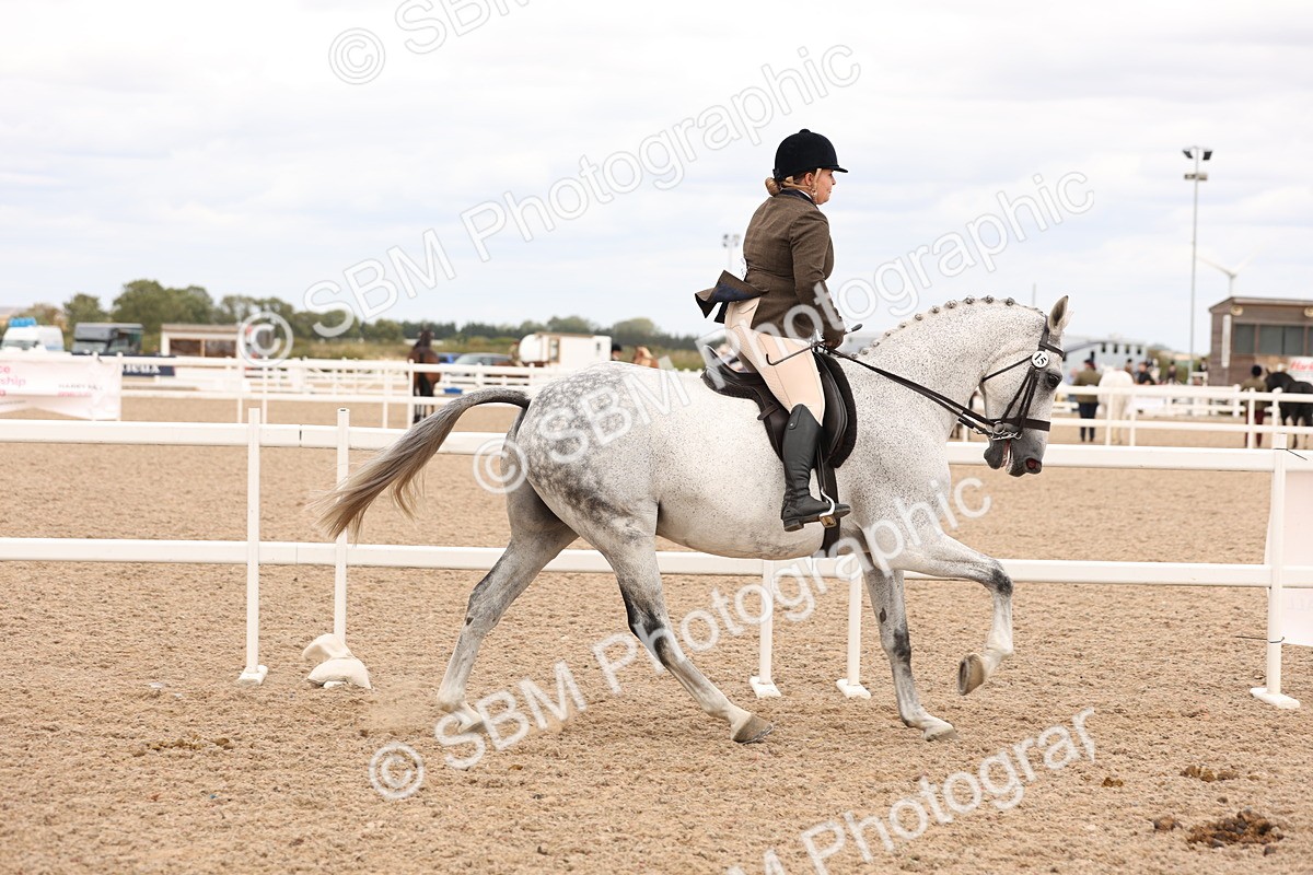 SBM_17225 - Class 213 - Ridden Hunter - Large