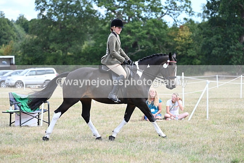 WJ7_5923 - Class 13 Ridden Veterans