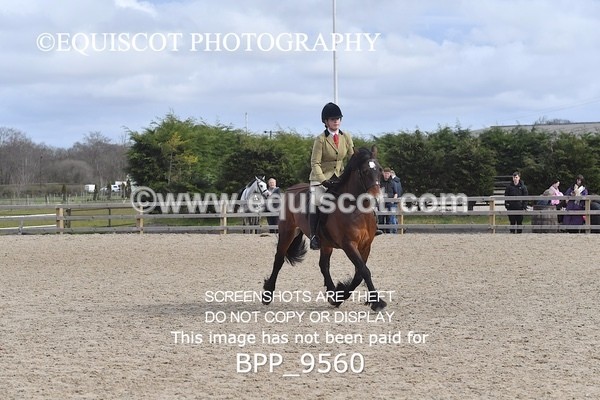 BPP_9560 - RING 2 - M&M