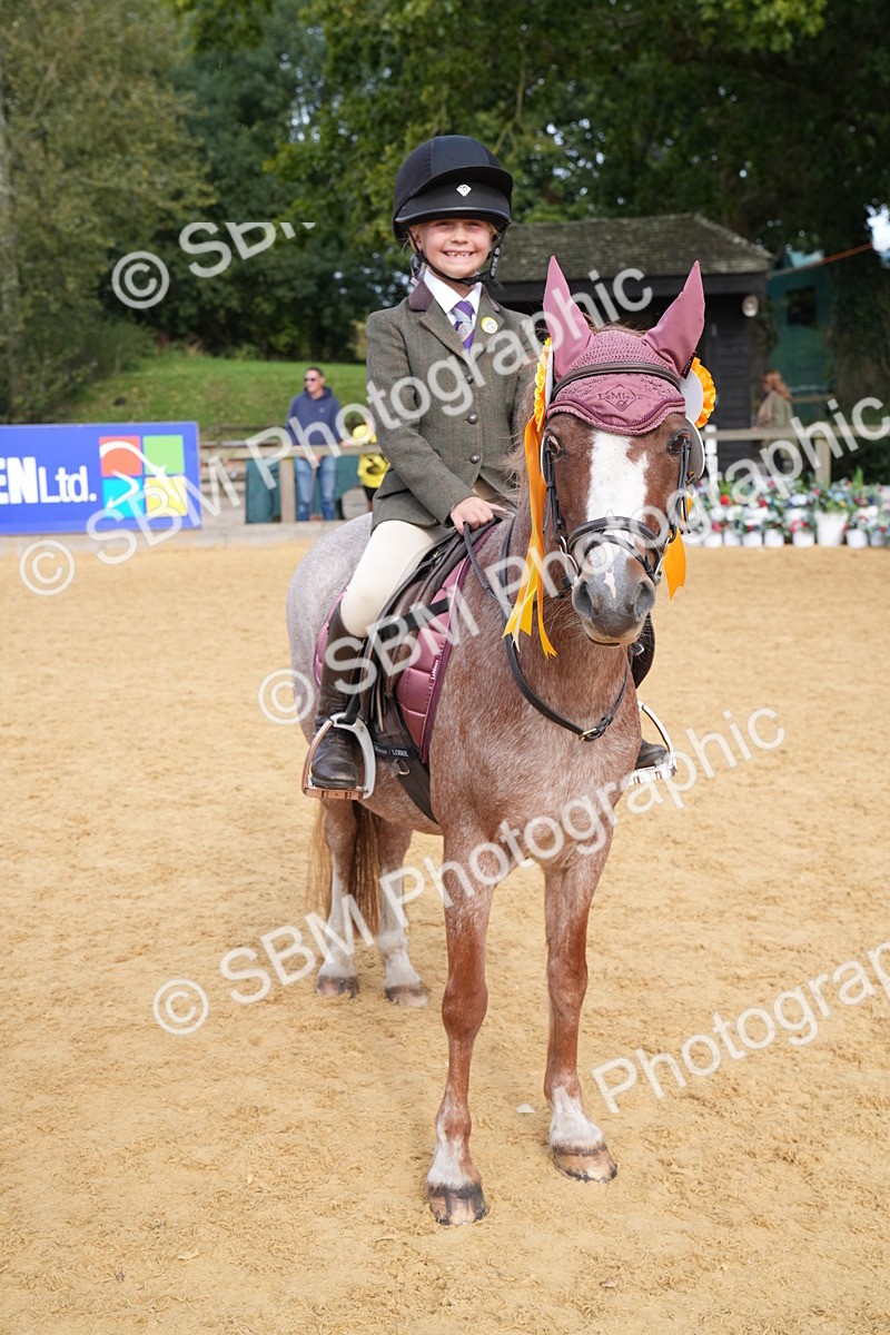 SBM_70505 - J3 - Mini Tour Junior Pony 40cm Championship