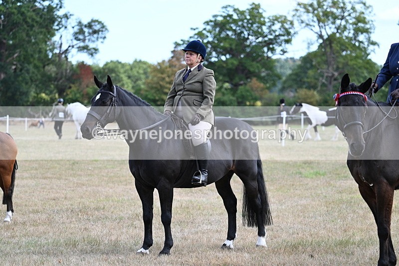 WJ7_6336 - Class 13 Ridden Veterans