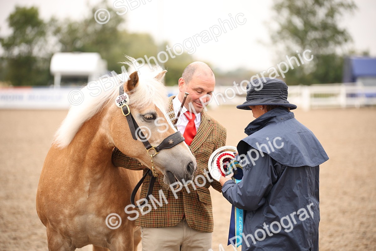 SBM_22168 - Class 707 - Ridden Groom-Helpers Class