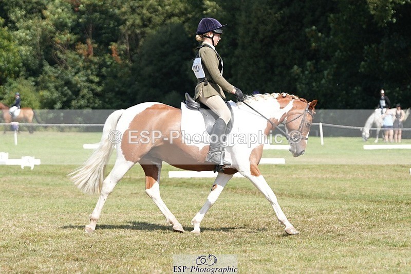 250823A-130208-30989 - Arena B