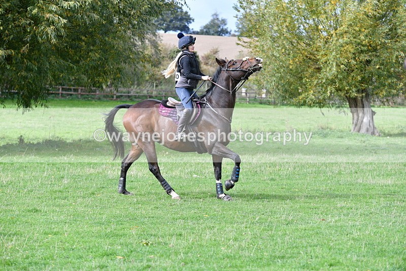 WJ5_9403 - Time 13:03 to 13:25