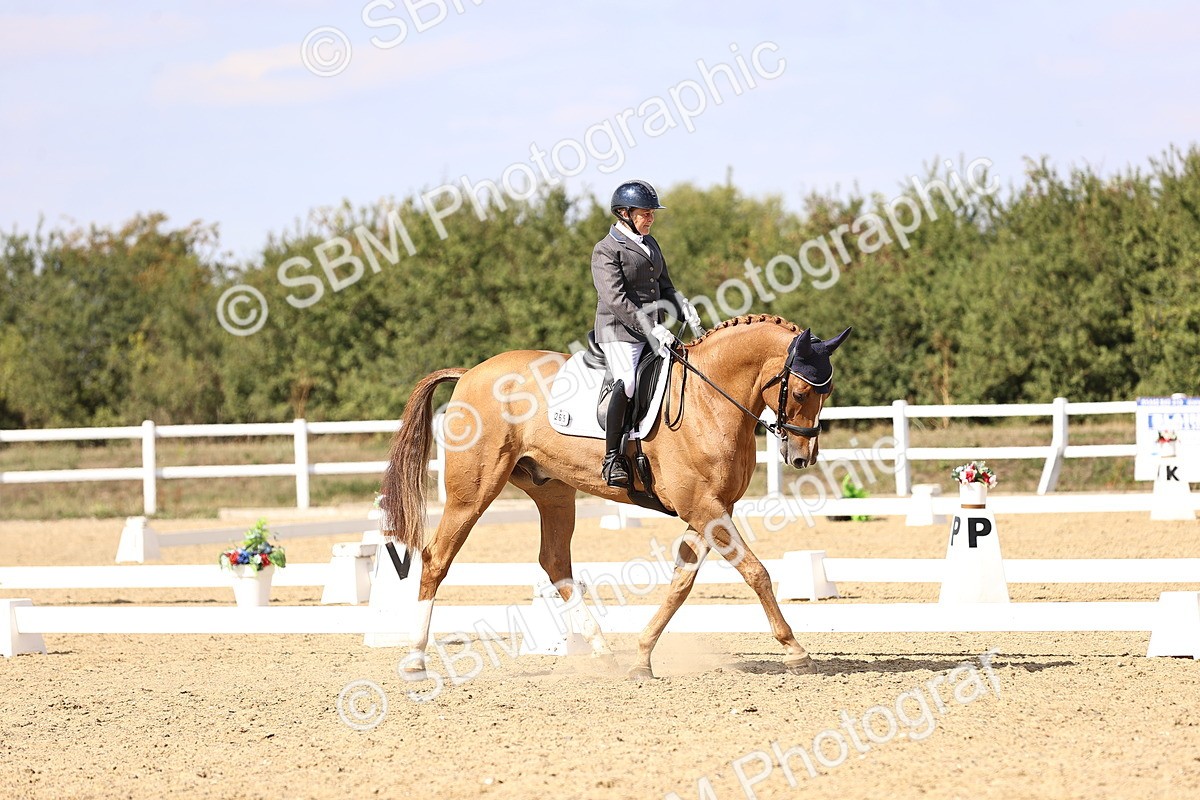 SBM_015084 - Class 6 - Elementary 5