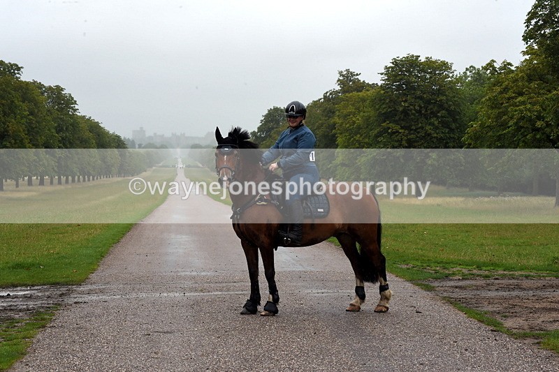 TT3_8350 - Time at Crossing 10:16 to 11:38