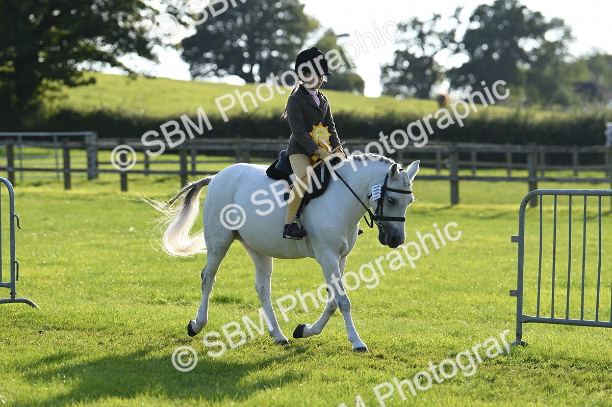 SBM_52475 - S22 - 1st Ridden Show & Show Hunter Pony