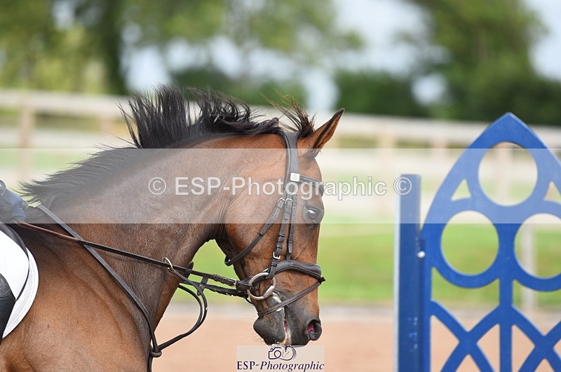 230711A-173208-00276 - 80cm