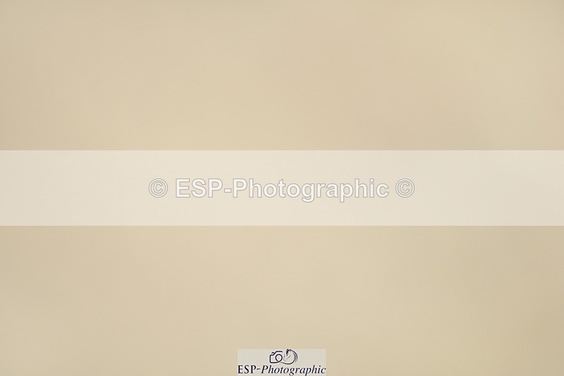 230701A-112012-04919 - Cls 9 Music Elementary