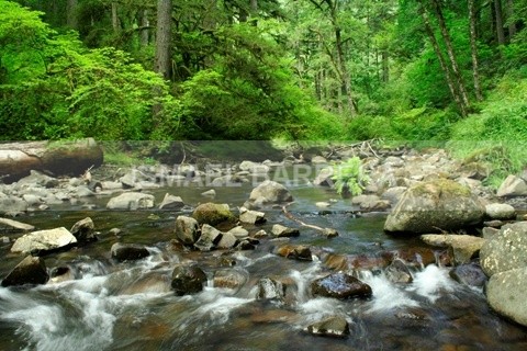 Running - Place