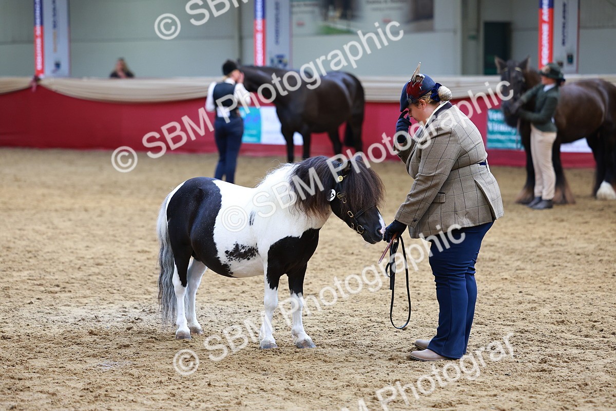 SBM_18684 - Class 903 - Sup Final - IH Pre Vet