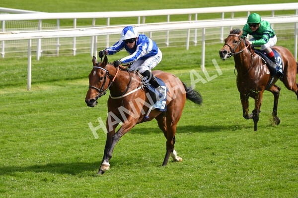 yr13052021r5-14 - Race 5 3.40pm British Stallion Studs EBF Westow Stakes