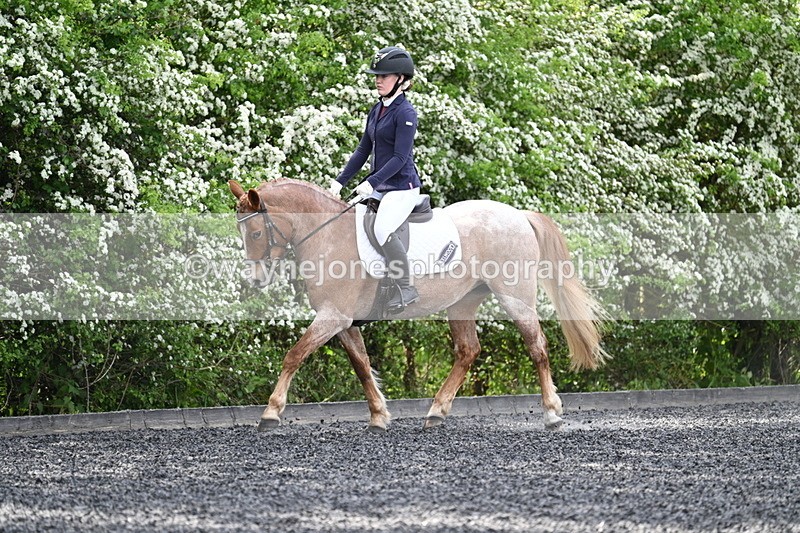 WJ7_8086 - Time 10:11 to 10:27