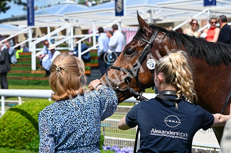 230526-Race 1-Lord Roxby-5893 - Race 1 13.30pm William Hill Keep Your Raceday Positive Handicap