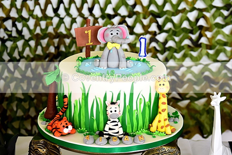 ADN-410 - Aiden's 1st Birthday