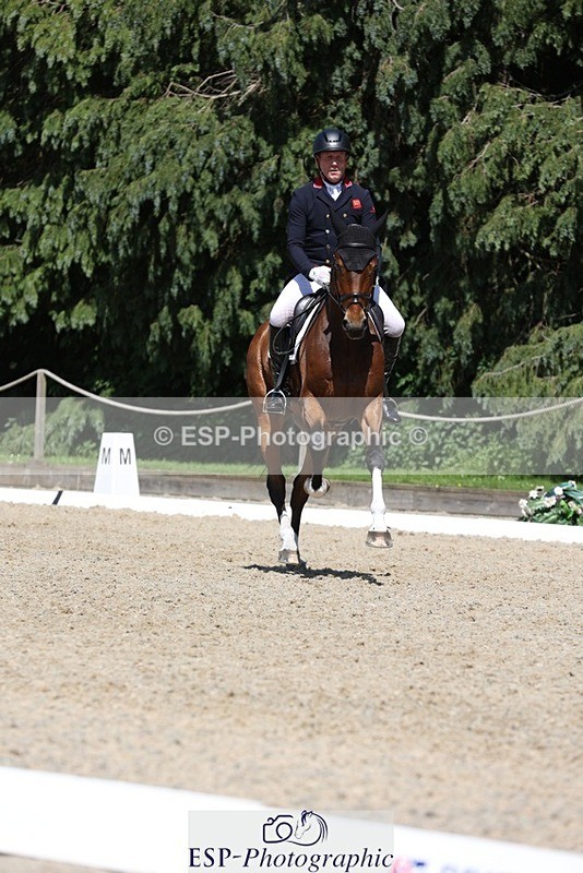 230526-145113-06565 - 375-FINLEY_DU_LOIR-Oliver_Townend-WEDTrotUp+DR