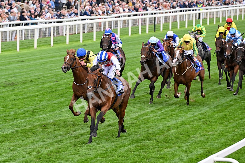 210826-Race 1-Blue Courvoisier-0076 - Race 1 13.50pm Sky Bet Mile Handicap